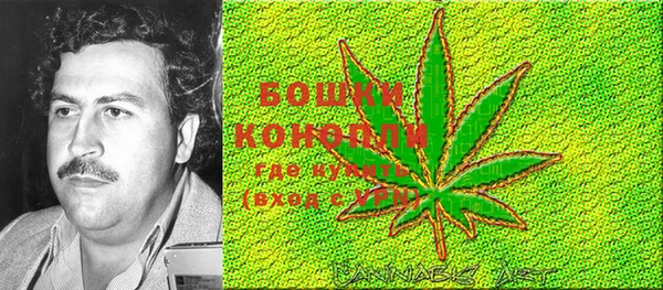 стафф Богданович