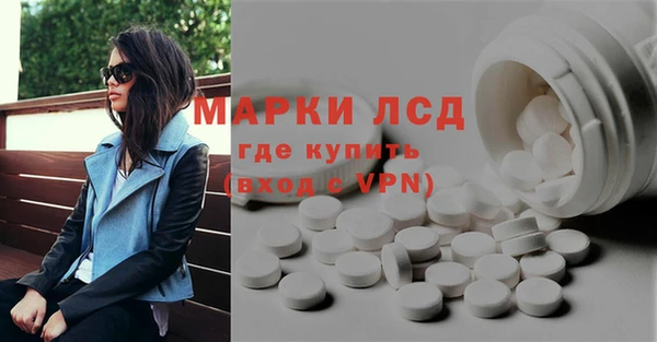 стафф Богданович