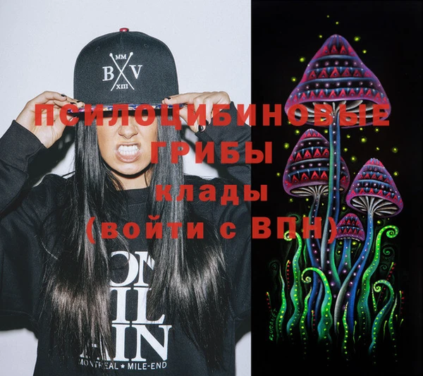стафф Богданович