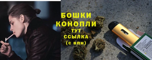 стафф Богданович