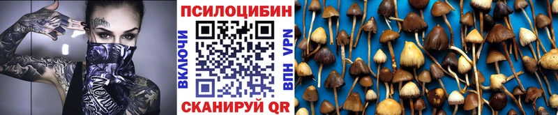 наркошоп Свободный Галлюциногенные грибы Magic Shrooms