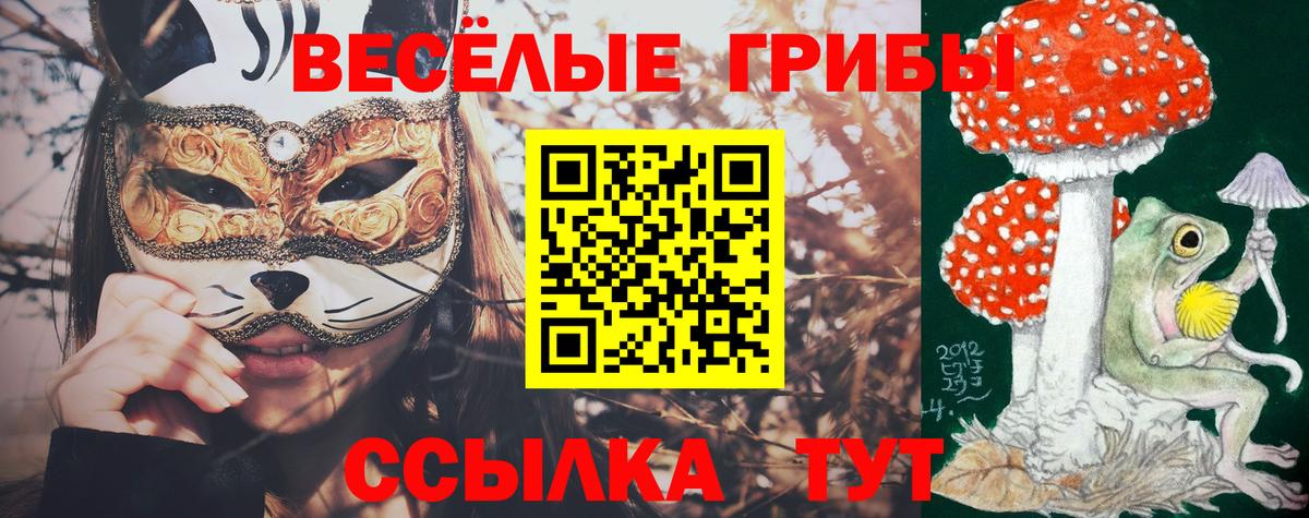 Галлюциногенные грибы MAGIC MUSHROOMS Свободный