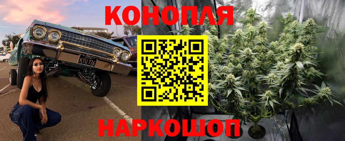МАРИХУАНА семена Свободный